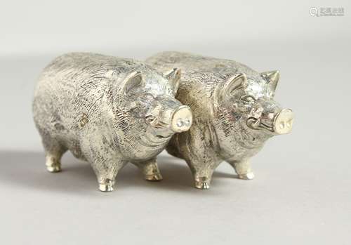 A SMALL PAIR OF NOVELTY .800 PIG SALT AND PEPPERS. 6cms long.