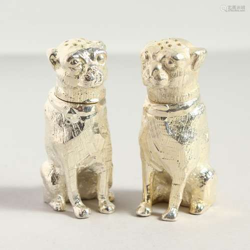 A PAIR OF PLATED DOG SALT AND PEPPERS. 6cms high.