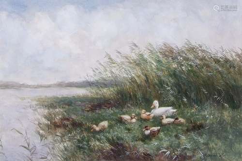 Constant Artz (1870-1951), Ducks by waters edge, watercolour, signed lower right, 34 x 50cm