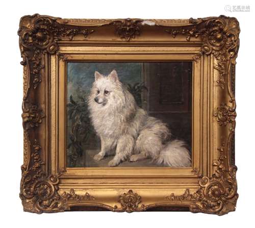 John Emms (1843-1912), Pomeranian dog, oil on canvas, signed lower left, 29 x 34cm