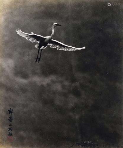 郎静山 1892-1995 鹤