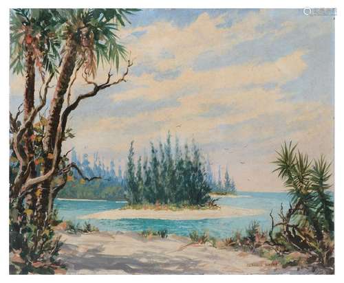 FLORIDA LAGOON SCENE WITH ISLAND