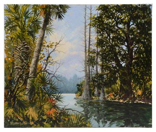 FLORIDA RIVER SCENE