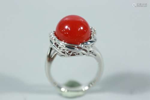天然阿卡牛血红珊瑚圆珠镶铂金戒指（pt900）