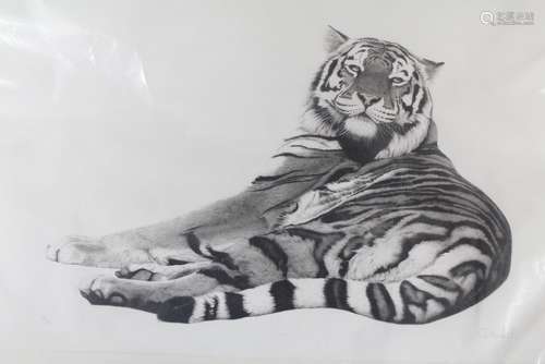 Clive Meredith Limited Edition Print of a 'Siberian Tigress'; nr 14/95, approx 92 x 57 cms, signed lower right