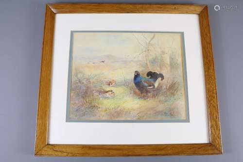 James Stinton (1870 - 1961) Watercolour, a water-colour depicting a Male Turkey and his mates, signed lower right, approx 30 x 23 cms, glazed and framed