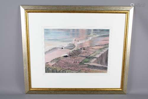 Hamish Grant (1937 - 2013) Pastel Painting; the painting depicting seagulls iin Cornwall, entitled 