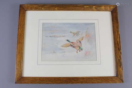 James Stinton (1870-1961) Watercolour, depicting a pair of  Mallard ducks, signed lower right, approx 24 x 17 cms, glazed and framed