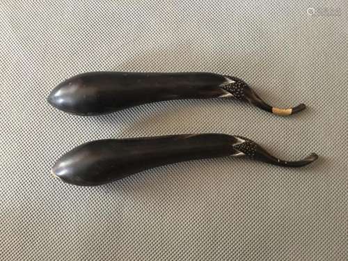 Two Eggplant