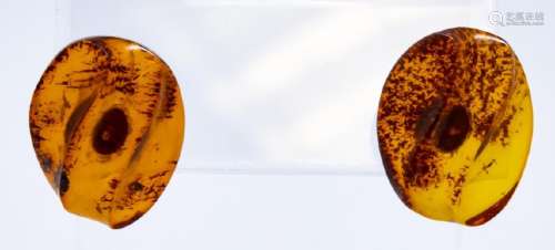 Pair of 14kt Yellow Gold & Carved Amber Earrings