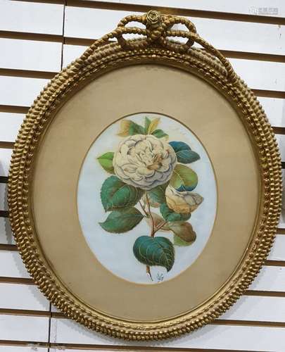 Watercolour drawing unattributed monogrammed JG, study of white rose in ornate gilt rope husk and