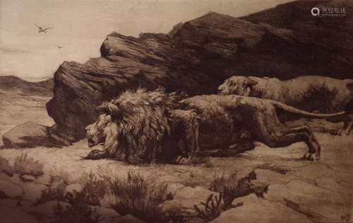 Herbert Dicksee, pair etchings of lions one titled 'Marauders' 17.5 x 25cm approx