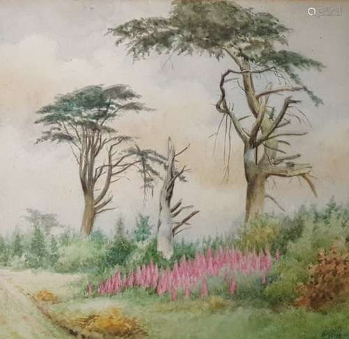 Wippell Watercolour  Trees in landscape, signed an