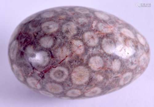 AN ANTIQUE SPECIMEN EGG. 4.5 cm x 2.5 cm.