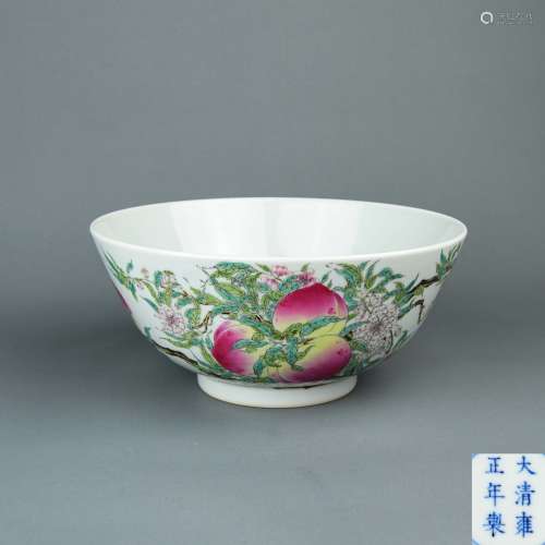 A Chinese Famille-Rose Porcelain Bowl