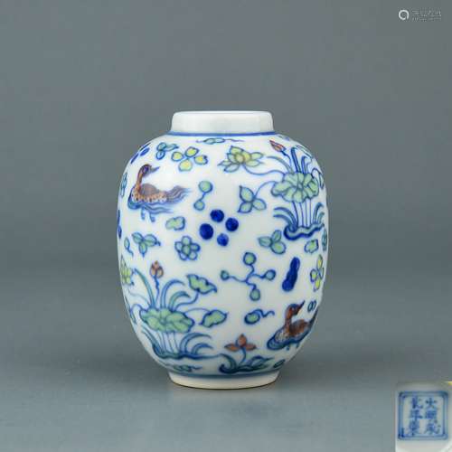 A Chinese Dou-Cai Porcelain Jar