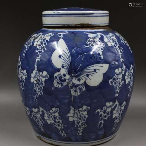 A BLUE & WHITE BUTTERFLY JAR QING DYNASTY.