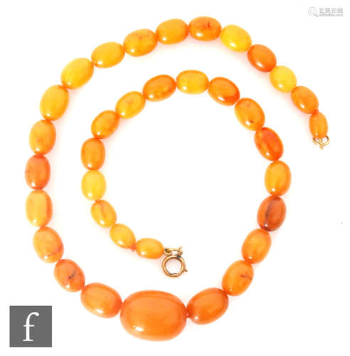 A single row of graduated butterscotch amber beads, largest approximately 2.5cm, weight 49.5g,