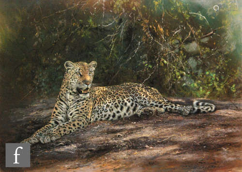 ANTHONY GIBBS (B.1951) - 'Leopard's Rest', pastel drawing, signed, framed, 43cm x 62cm.