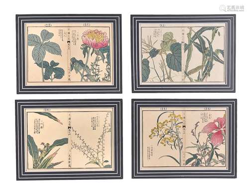 A set of twelve Japanese botanical prints