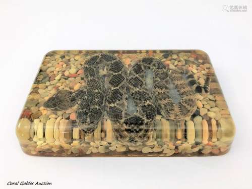 Rattlesnake Encased in Acrylic Paperweight