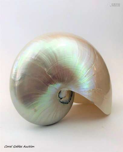 Antique mother-of-pearl snail