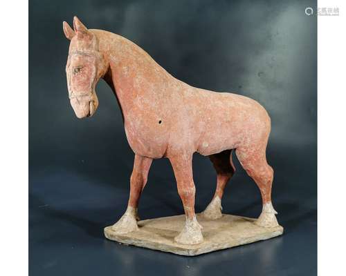 CHINESE TERRACOTTA HORSE - TL TESTED