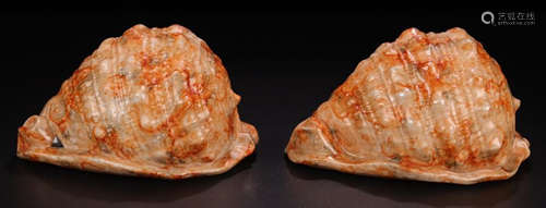 PAIR RED NATURE CONCH PENDANT