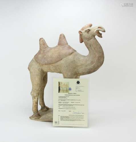 Chinese Pottery Camel, Tang Dynasty