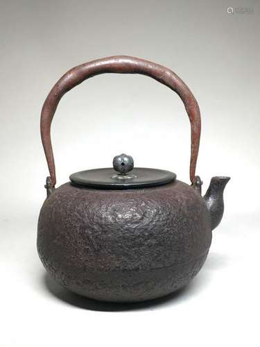 Japanese Iron Teapot