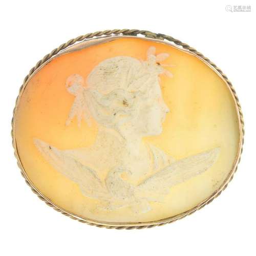 A shell cameo brooch. Length 4.3cms. 12gms.