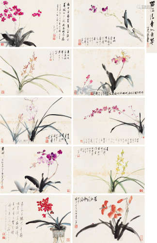 杨之光（1930～2016） 兰花册 册页 （十开） 设色纸本