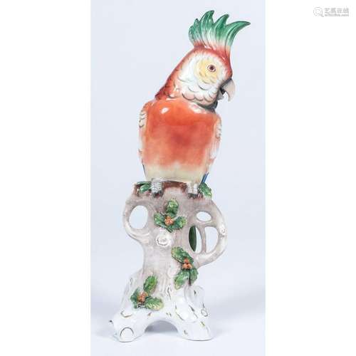 Continental Porcelain Parrot