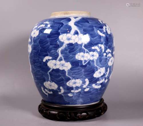 Chinese 19 C Blue & White Porcelain Hawthorn Jar