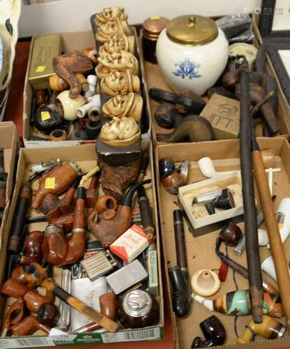 Pipe collection including oversized burlwood male face