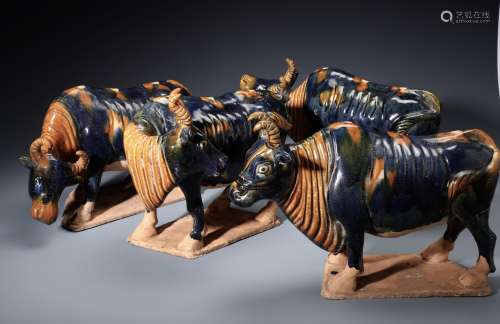 Four Chinese Sancai Glazed OX ESTATE SALE