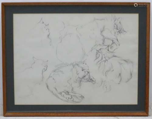 Cats: pencil drawings of Persian cats in a mount and