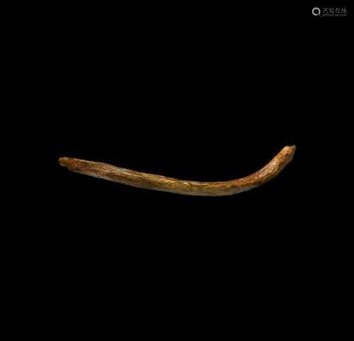 Natural History - Woolly Mammoth Rib Bone