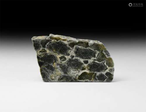 Australian Fossil Stromatolite Polished Slice