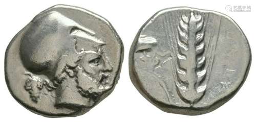 Lucania - Metapontum - Barley Ear Stater