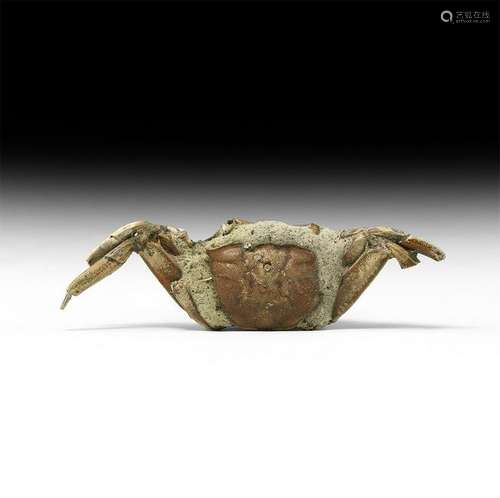 Natural History - Sentinel Crab Fossil