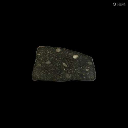 NWA 7936 Chondrite Meteorite Polished Slice