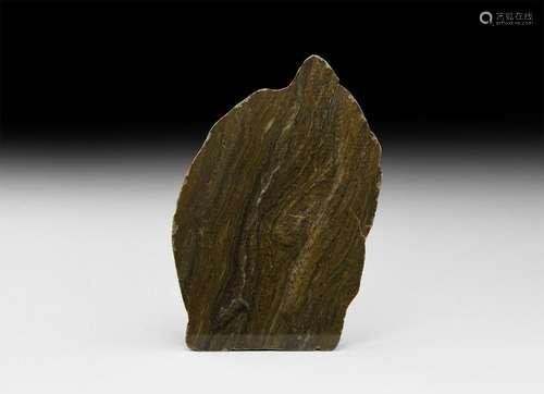 Australian Fossil Stromatolite Polished Slice