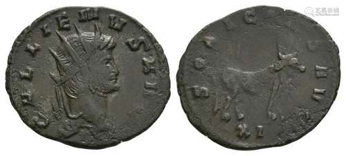 Gallienus - Bull Antoninianus