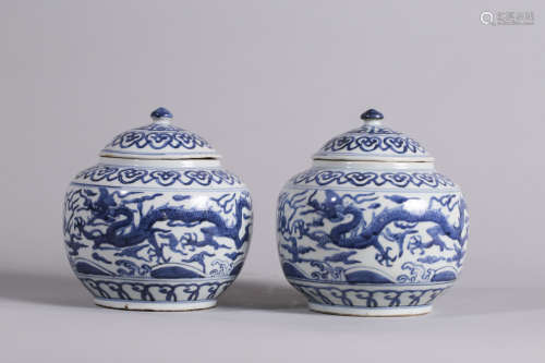A Pair of Chinese Blue and White Porcelain Vases with Covers