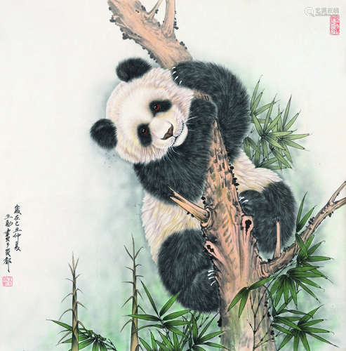 王申勇 熊猫 软片 纸本