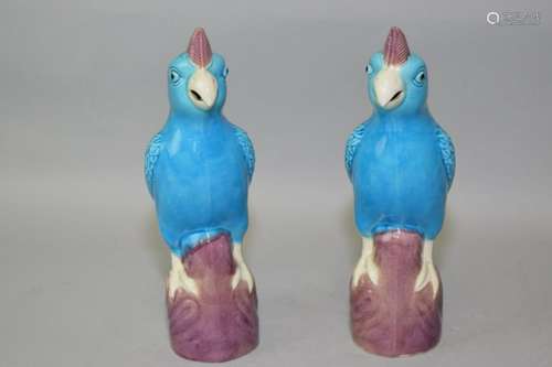 Pair of Chinese Peacock Blue Glaze Parrots