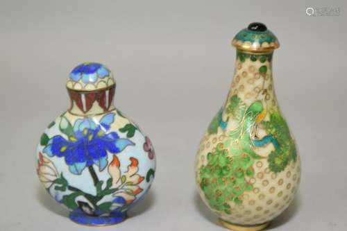 Two Chinese Cloisonne Snuff Bottles