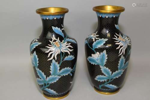 Pair of Chinese Cloiosnne Vase