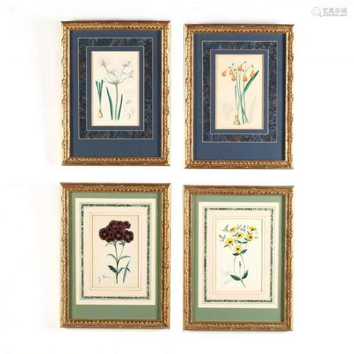 Four 19th-Century Floral Engravings from  The